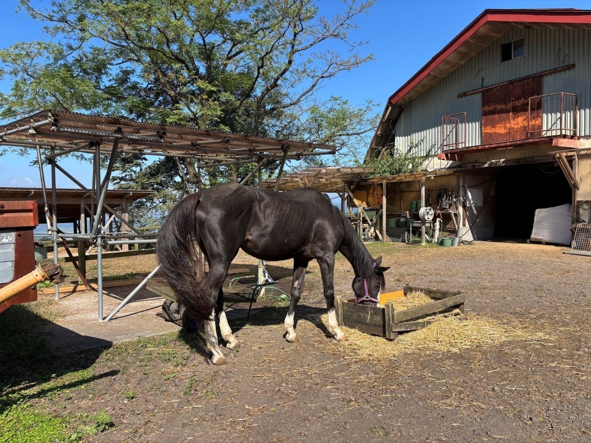 2da2f591d1b4b927c4db6b89290a11d1-1761812317.jpg 2da2f591d1b4b927c4db6b89290a11d1-1761812317.jpg